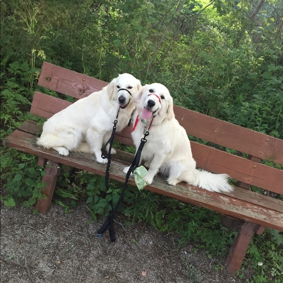 Meet me, Taylor! - Picture 6 of 6